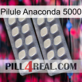 Anaconda 5000 Pill 07